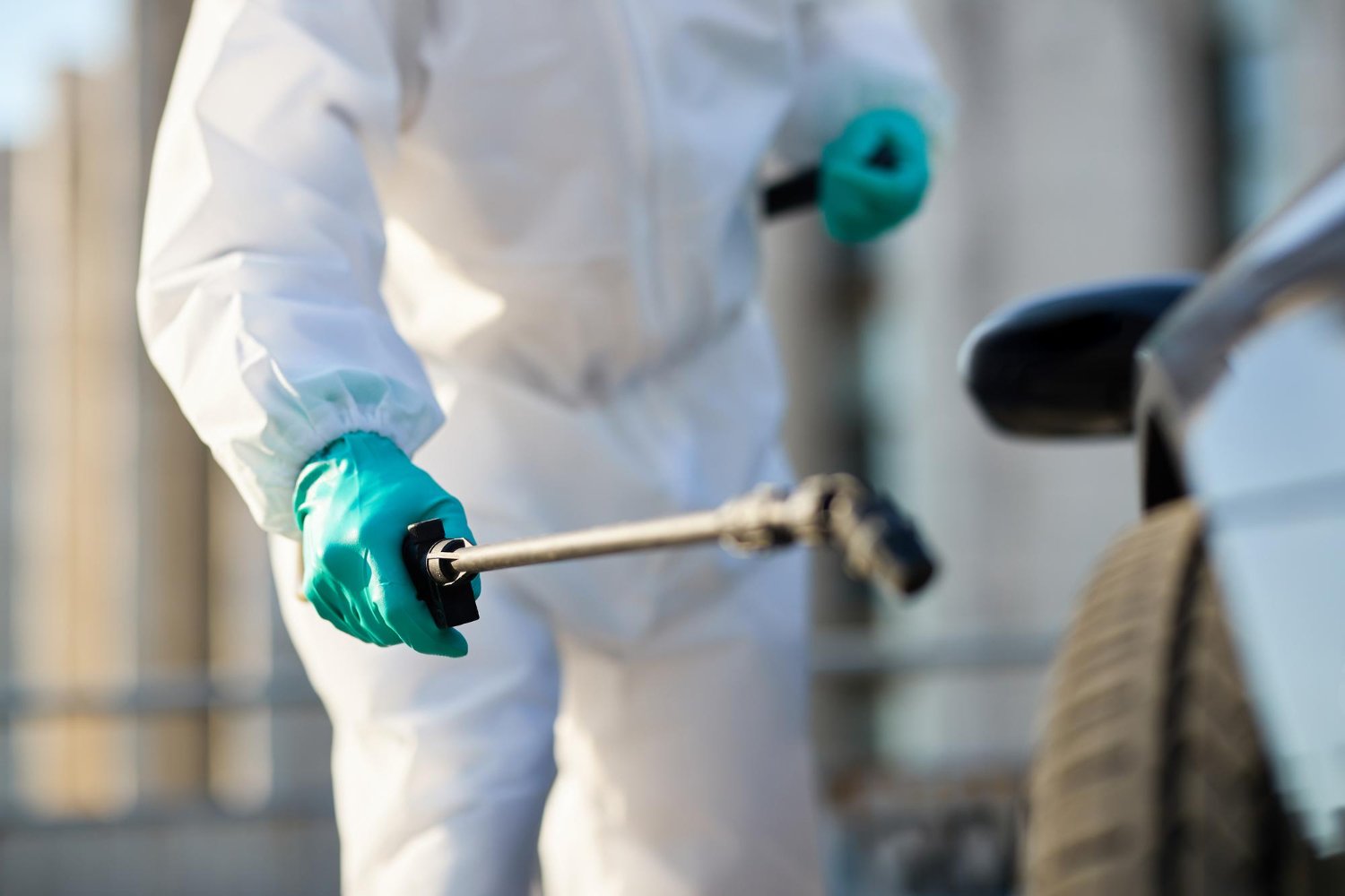 Pest Control in Orlando