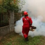 Trusted Pest Control Services