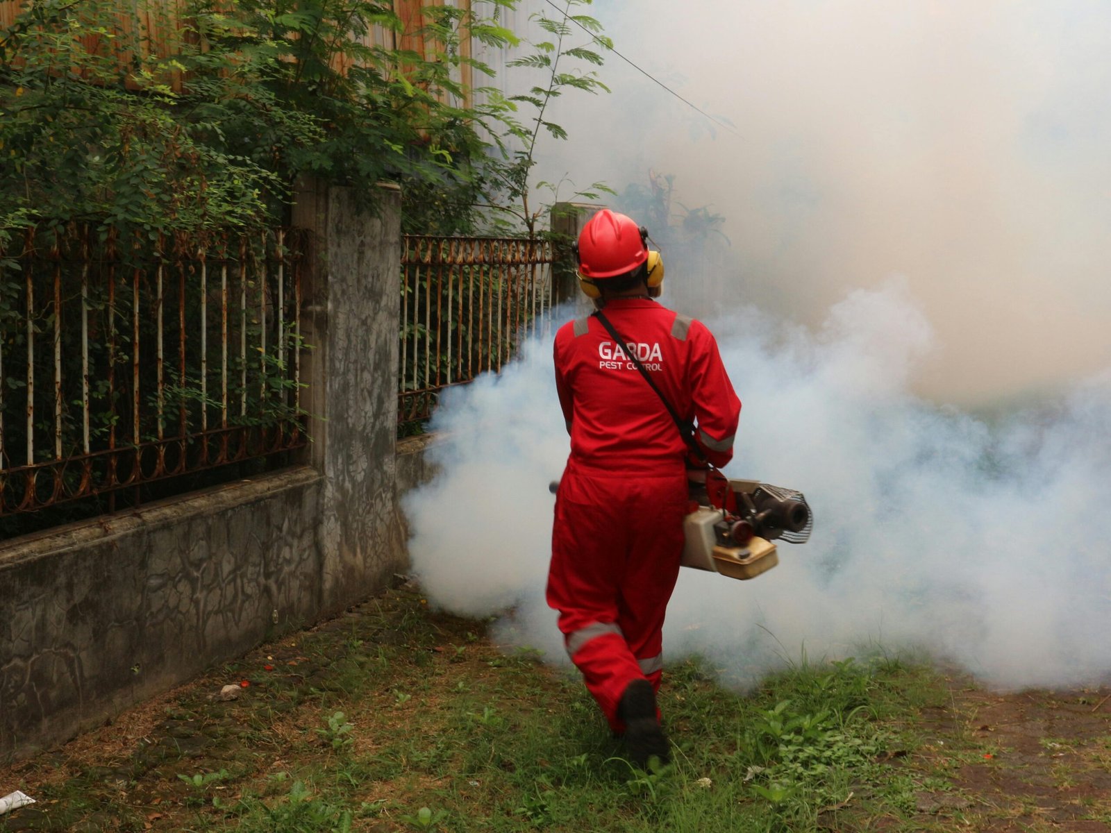 Trusted Pest Control Services