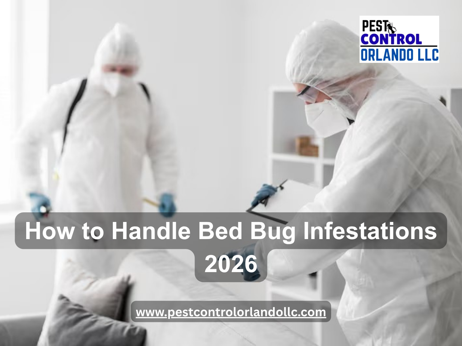 Bed Bug Infestations 2026