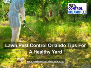 lawn pest control