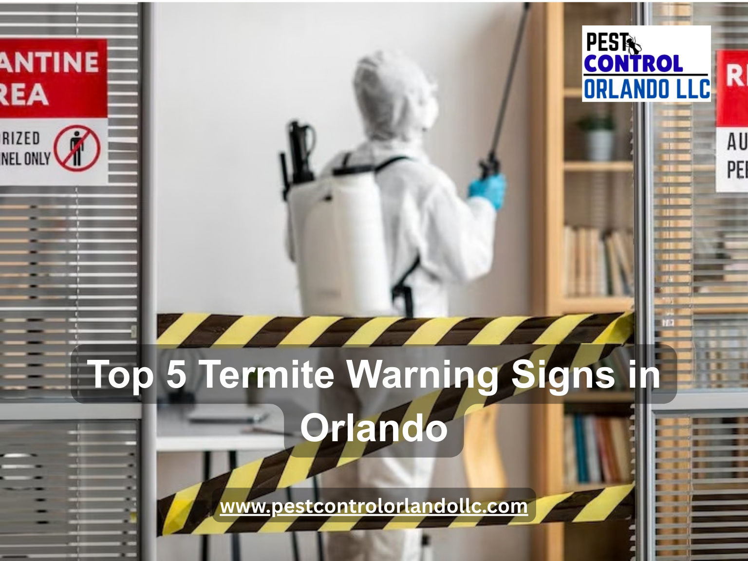 Top 5 Termite Warning Signs in Orlando