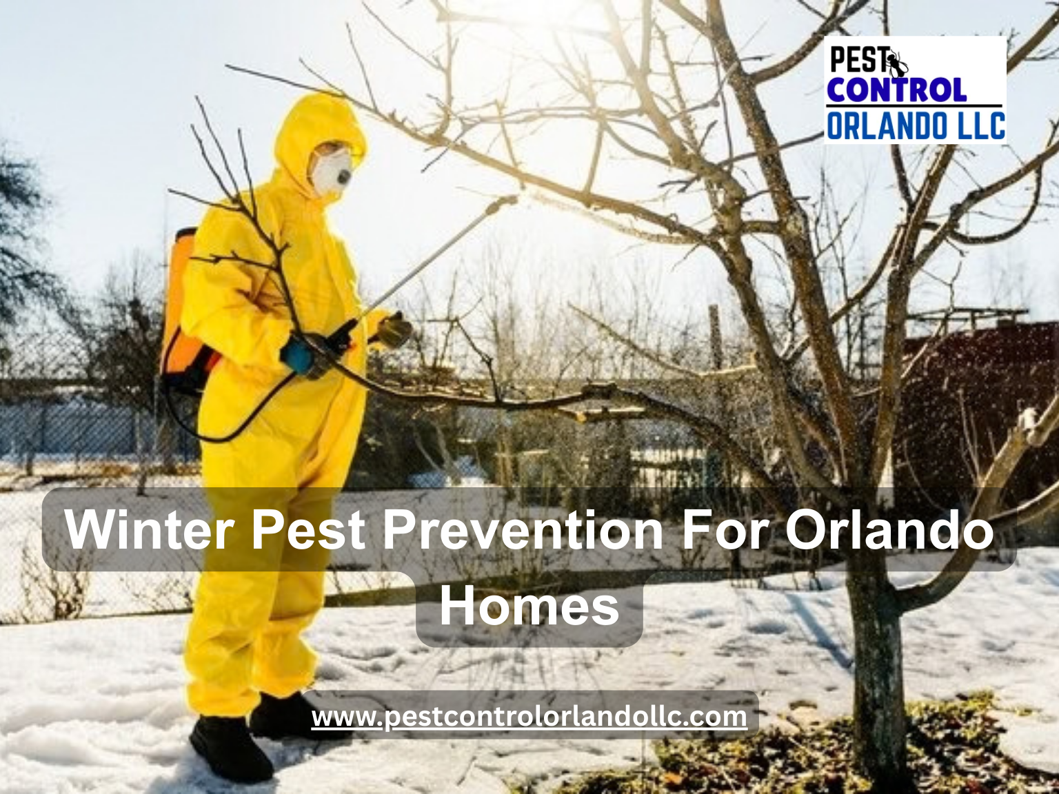 winter pest prevention